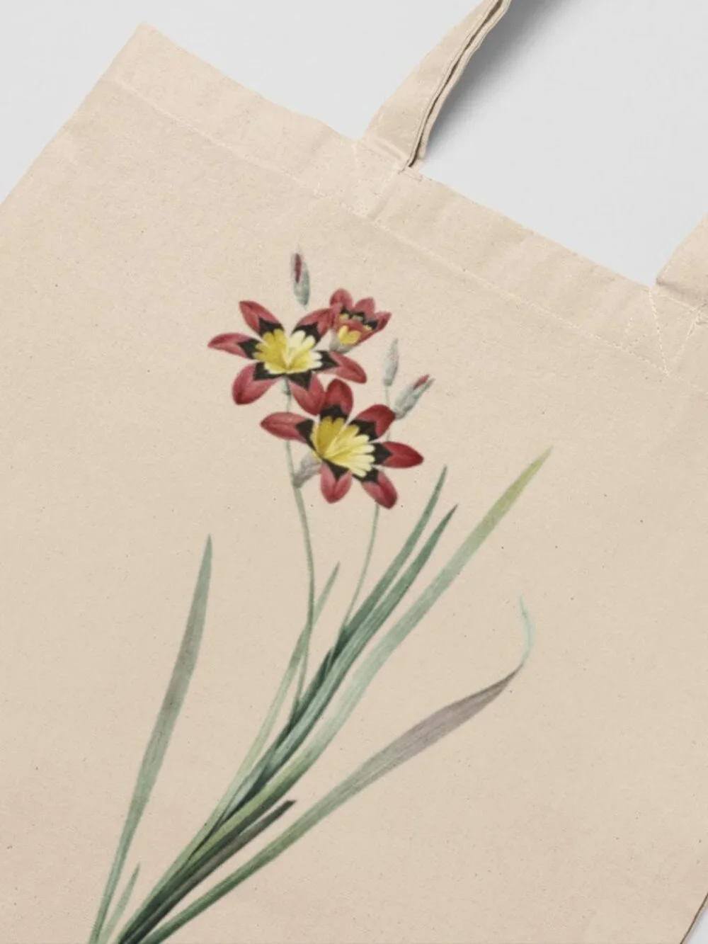 Tricolor Ixia Vintage Floral Print Graphic Canvas Tote Bag